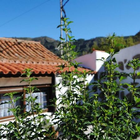 Ilusiones Tejeda (Gran Canaria) Exterior foto