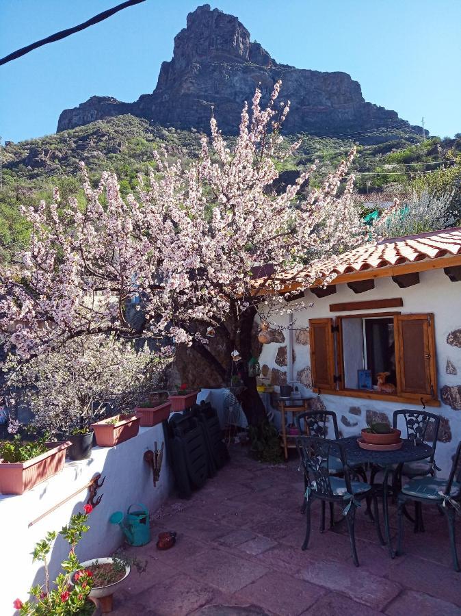 Ilusiones Tejeda (Gran Canaria) Exterior foto