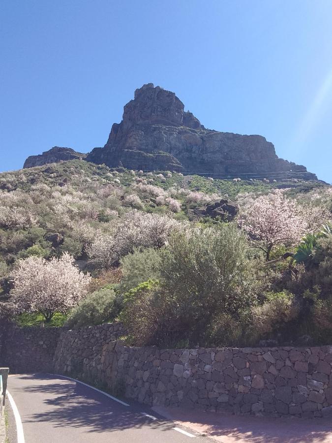 Ilusiones Tejeda (Gran Canaria) Exterior foto