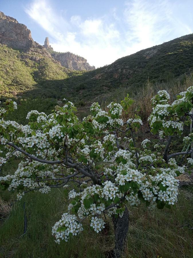 Ilusiones Tejeda (Gran Canaria) Exterior foto